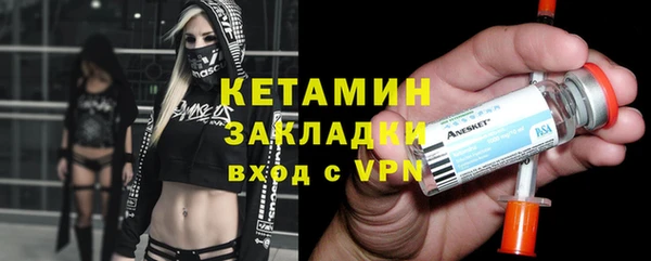 шишки Абаза