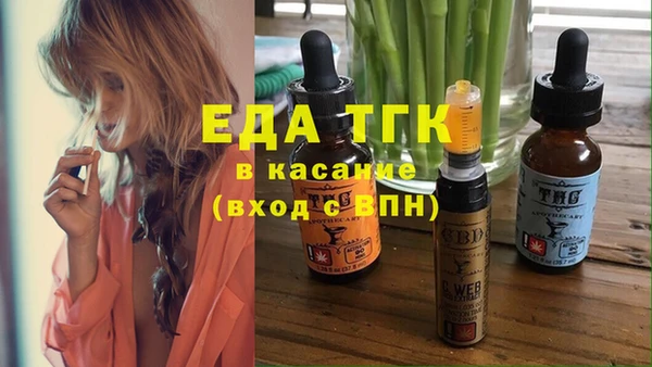 шишки Абаза