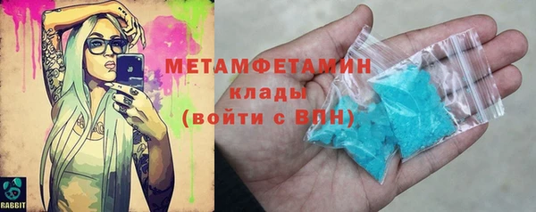 шишки Абаза